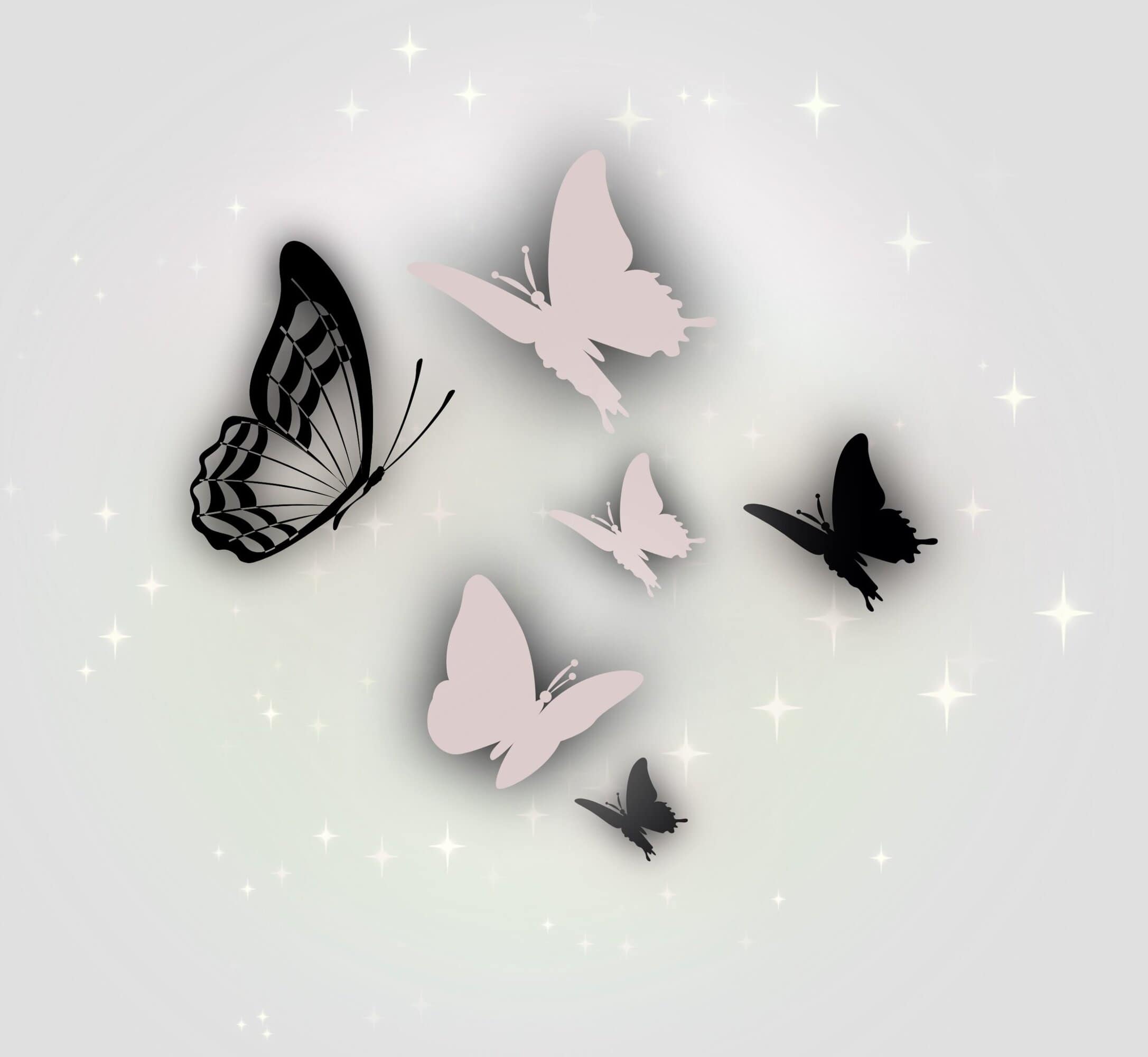 Colorful butterfly wall decals with pink and black designs, creating a stylish and elegant home decor.